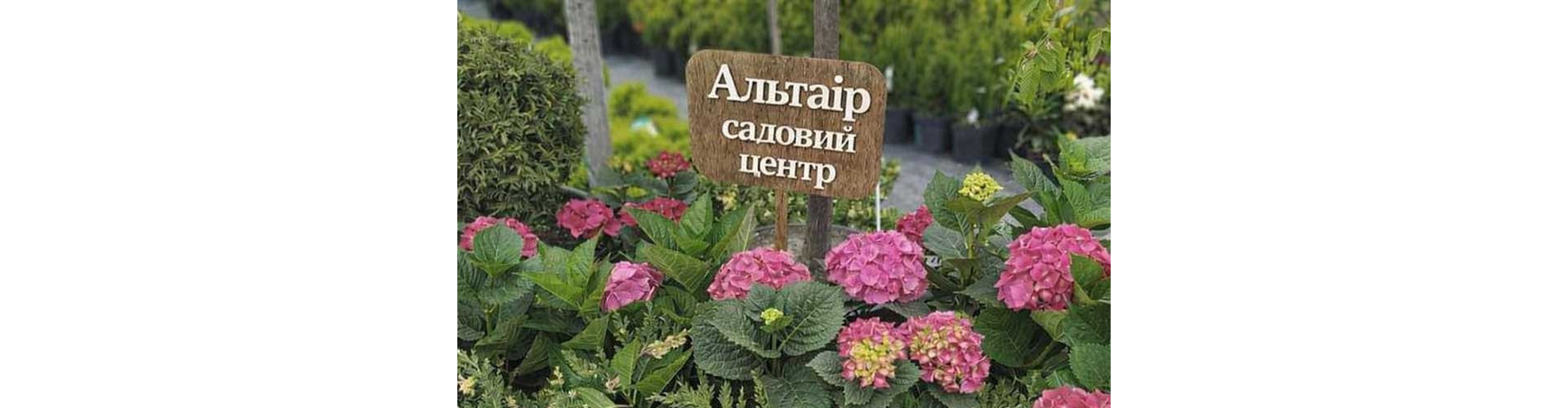 Розсадник mob