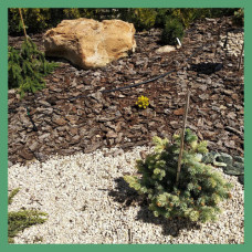 Сопутствующие товары